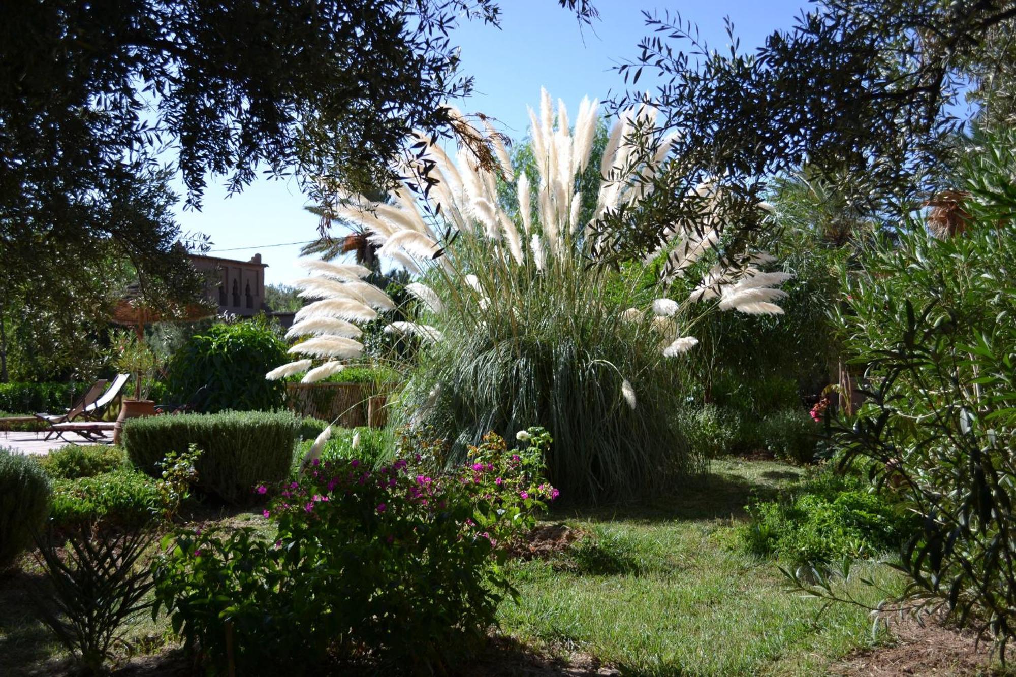 Dar Lorkam Bed & Breakfast สกูรา ภายนอก รูปภาพ